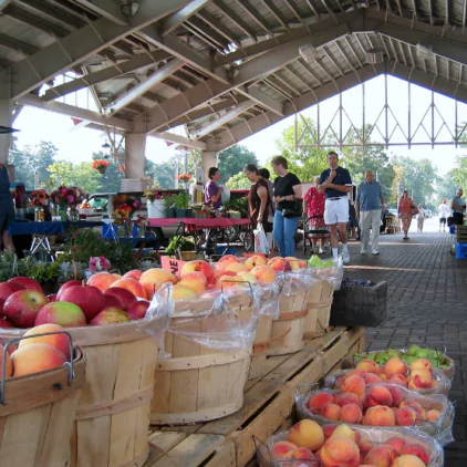 gaylord-farmers-market-004-e1725454084163-square-b8d9910e06ce91027d36c2c361bc1f72-67ae75906a5f2 gaylord-farmers-market-004-e1725454084163-square-b8d9910e06ce91027d36c2c361bc1f72-67ae75906a5f2