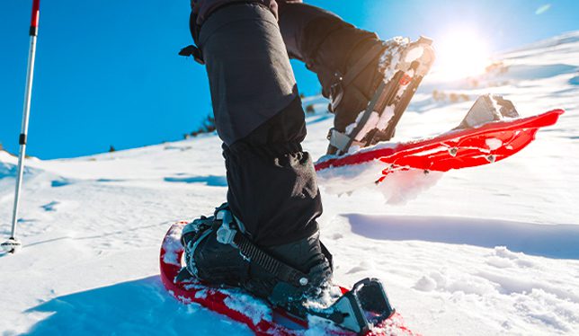 Michigan inn and lodge